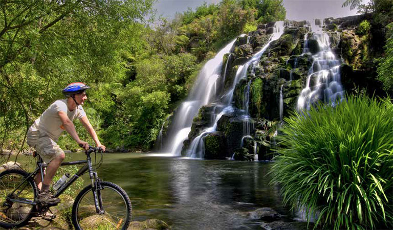 Ultimate North Island Cycling Tour: A Journey on Two Wheels