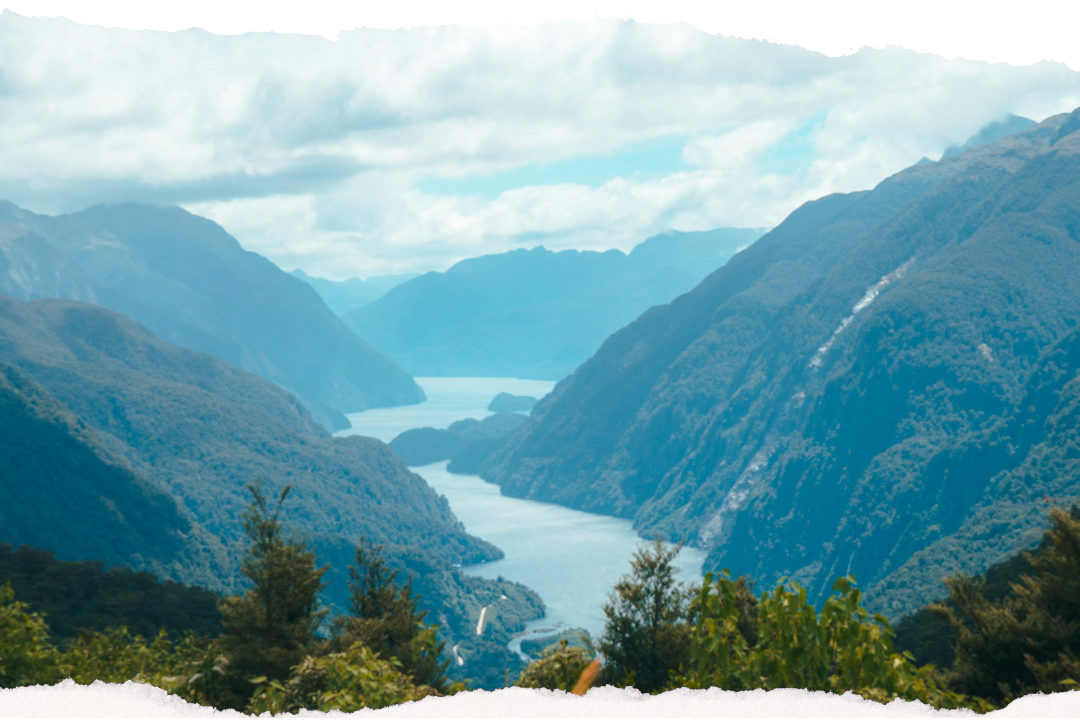 Doubtful Sound in Fiordland, water between forested mountains