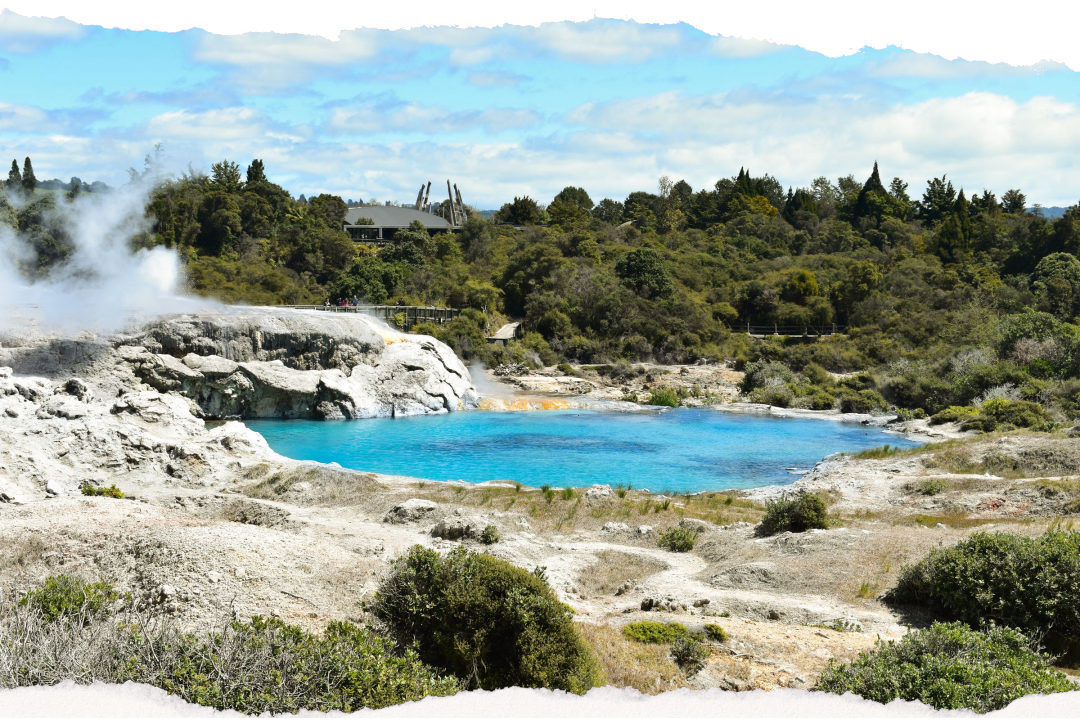 A bright turquoise thermal pool and pale silica terraces in the Rotorua geothermal valley, with steam rising and native bush on the ridge behind